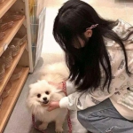 西游女儿国腾讯版下载